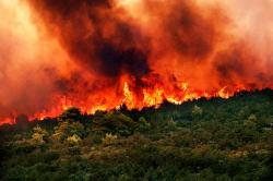 Τοξική βόμβα μακράς διαρκείας οι φωτιές στα βουνά της Αττικής