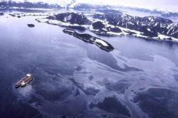 Στη Φρεαττύδα η πετρελαιοκηλίδα από τη Σαλαμίνα - Φόβοι για επέκταση της ρύπανσης