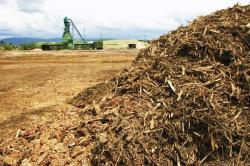 Ενέργεια από κλαδέματα και αγροτική βιομάζα: Αναξιοποίητοι πάνω από τρία εκατομμύρια τόνοι το χρόνο