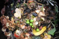 Νέες Τεχνολογίες Ανακύκλωσης Βιοαποβλήτων-Κομποστοποίησης στον Δήμο Ρόδου 