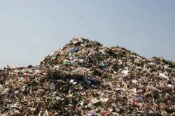Καθαρισμός 22 τόνων σκουπιδιών από τα Νησιά Γκαλαπάγκος