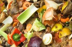 Χρωματιστά τσιπς λαχανικών: Το πρόγραμμα που βάζει φρένο στη σπατάλη τροφίμων