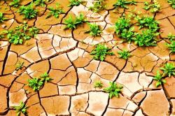 Η κλιματική αλλαγή αυξάνει τη διάβρωση του εδάφους και φέρνει πλημμύρες