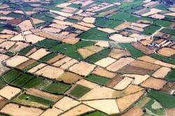 ''Με λάθη σε δασικούς χάρτες ταλαιπωρούν άσκοπα τους αγρότες''