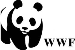 WWF: Έρευνα γνώμης για τη σύνδεση των παράνομων αγορών με τις πανδημίες
