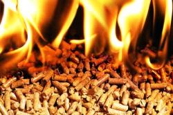 Τα πέλετ ξύλου και το ελαιοπυρηνόξυλο θεωρούνται πλέον τα καλύτερα βιοκαύσιμα