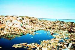 Καθαρισμός παραλίας από θαμμένα απορρίμματα από το δήμο Αιγιαλείας