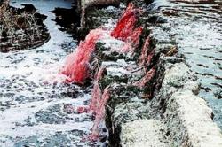 Επικίνδυνα απόβλητα στον Σελινούντα ποταμό