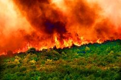 Απροστάτευτα τα ελληνικά δάση από τις πυρκαγιές