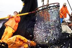Εννέα από τις μεγαλύτερες αλιευτικές εταιρείες συμφωνούν να προστατεύσουν τους ωκεανούς