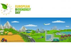 43 ημέρες καθαρής ενέργειας μέσα στο ημερολογιακό έτος 2018: η βιοενέργεια πρώτη μορφή ανανεώσιμης ενέργειας στην Ευρώπη