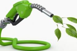 Θα αντικαταστήσουν τα φύκια την βενζίνη το 2050;