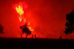 Οι πυρκαγιές στην Αυστραλία κατέστρεψαν το ένα πέμπτο των δασών
