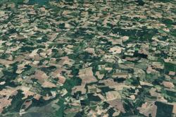 Έως 1 εκατ. στρέμματα αγροτικής γης μπλεγμένα με δασικούς χάρτες