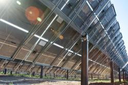 ΔΕΗ Ανανεώσιμες: Οι 5 διεκδικητές για το πάρκο φωτοβολταϊκών 200MW στη Κοζάνη