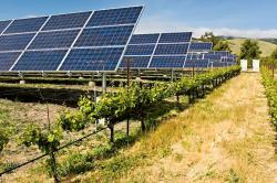 Σε ΦΕΚ οι νέες διατάξεις για εγκατάσταση φωτοβολταϊκών σε γη υψηλής παραγωγικότητας
