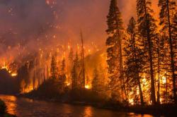 Λέσβος: 252 στρέμματα κάηκαν στη Θερμή σύμφωνα με την χαρτογράφηση