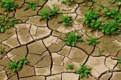 Η ξηρασία δεν αφήνει περιθώρια για αναβολές