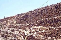 Υπό εξέταση η χορήγηση επιδόματος για ξύλα σε ορεινές ακριτικές περιοχές
