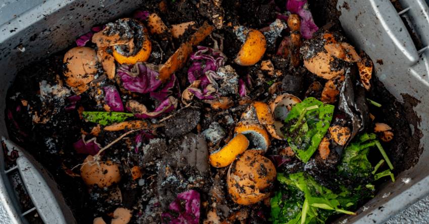 Οι προσφορές οδηγούν τρόφιμα στα σκουπίδια